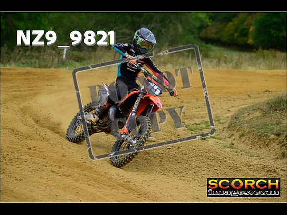 Experts-241