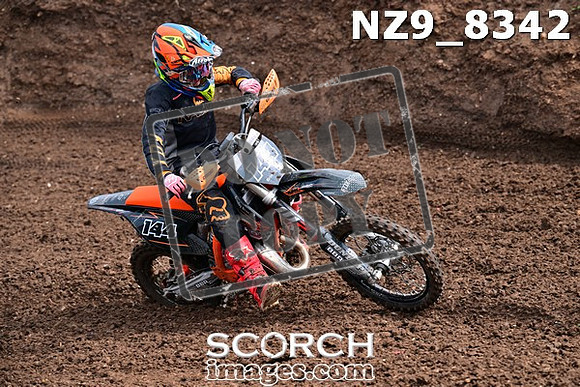 NZ9_8342