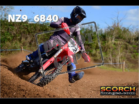 Experts-335