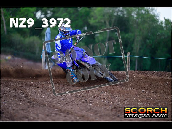 Experts-115