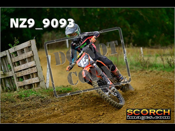 Experts-135