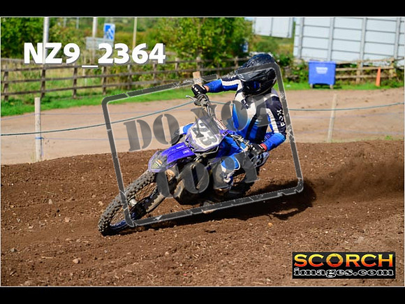 Experts-325