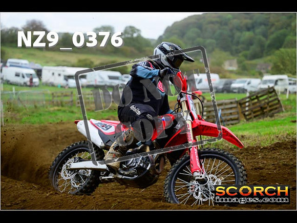 Experts-324