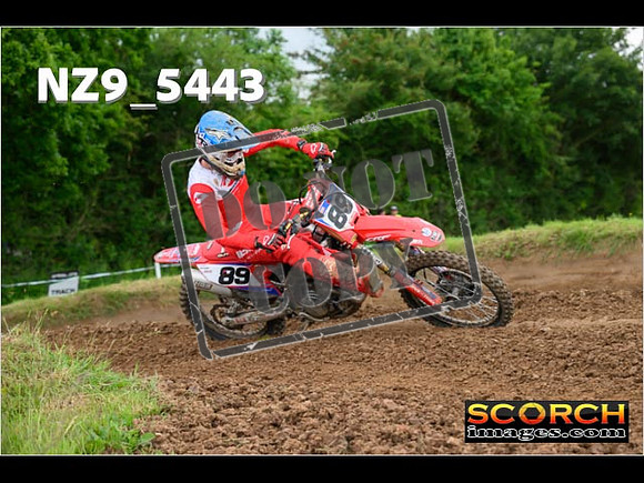 Experts-374