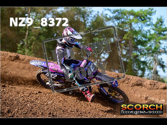 Experts-135