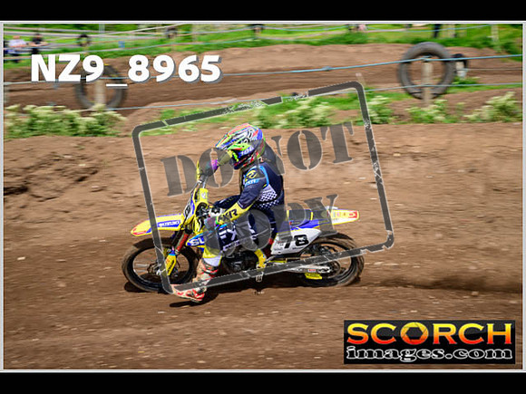 Intermediate Green-093