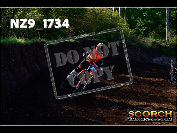 Experts-161