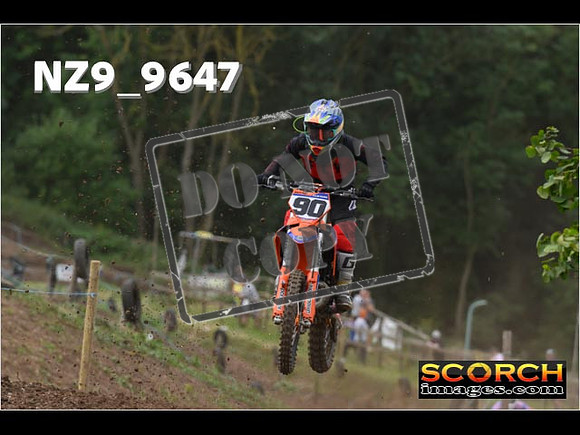 Experts-047