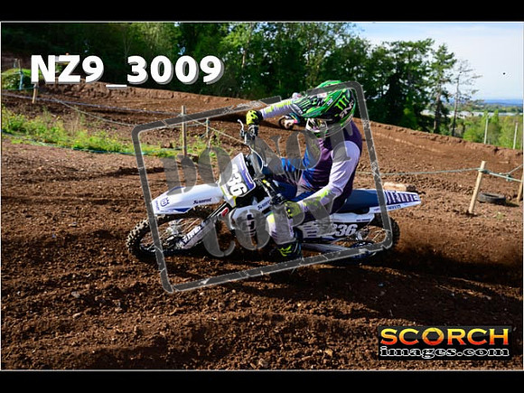 Experts-203