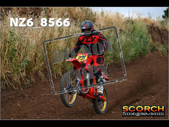 Experts-086