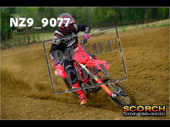 Experts-120