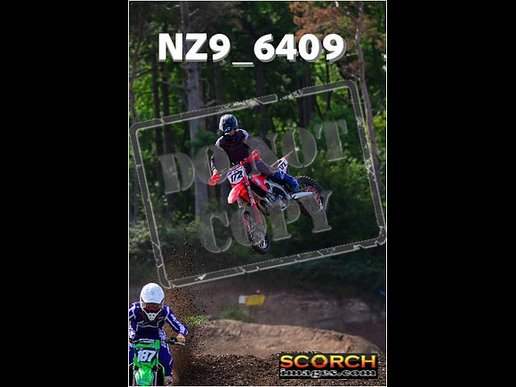 Experts-241