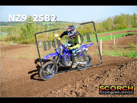 Experts-039