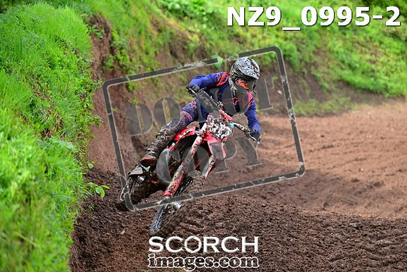 NZ9_0995-2