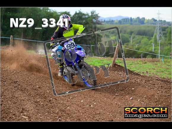 Experts-304