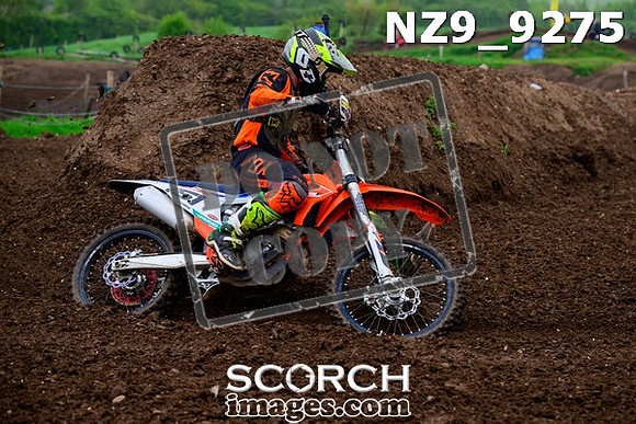 NZ9_9275