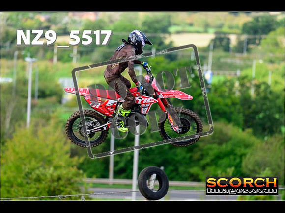 Experts-074