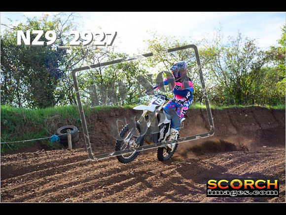 Experts-129