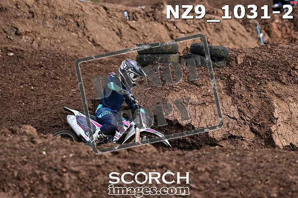 NZ9_1031-2
