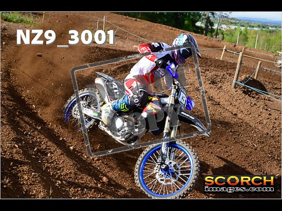 Experts-195