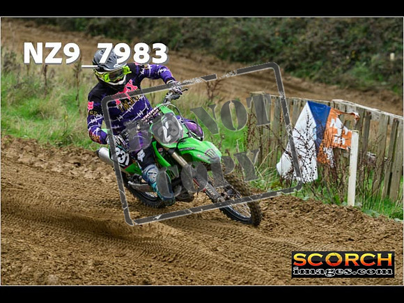 Experts-115