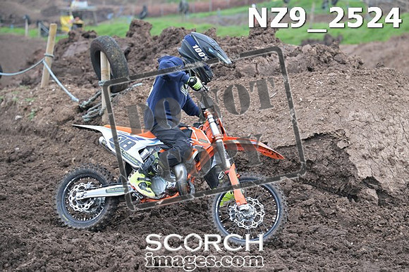NZ9_2524