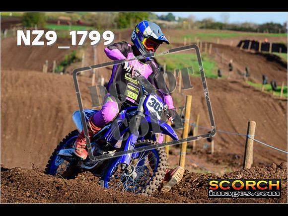 Experts-224