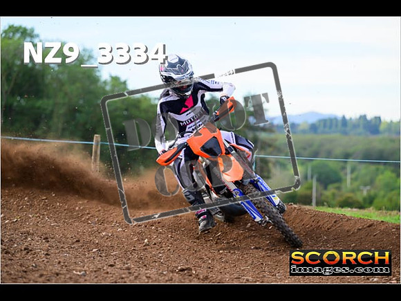 Experts-297