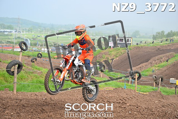 NZ9_3772