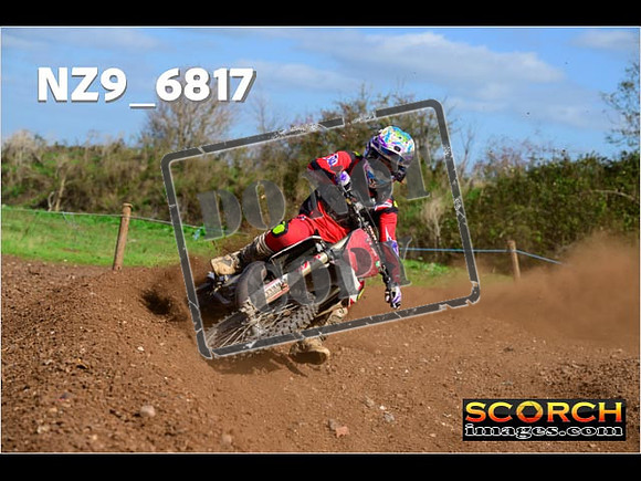 Experts-312