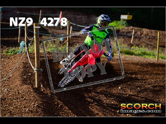 Experts-140