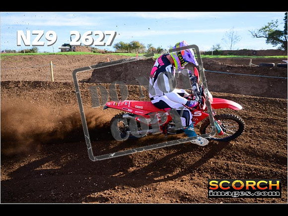 Experts-079