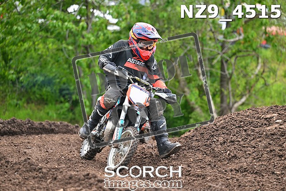 NZ9_4515