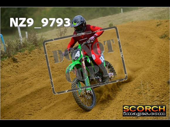Experts-215