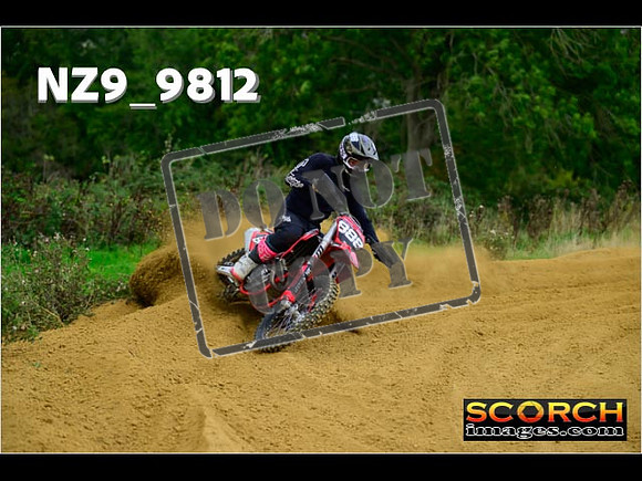 Experts-232