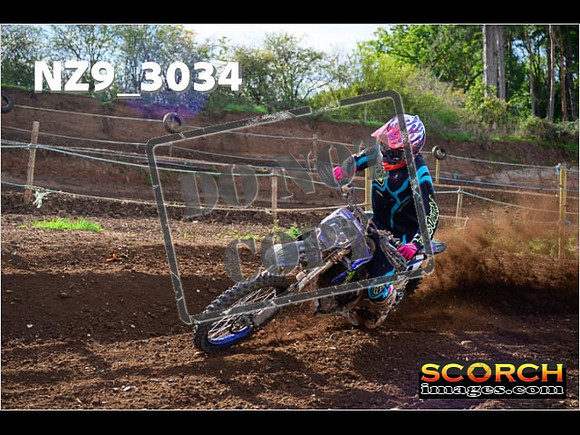 Experts-227