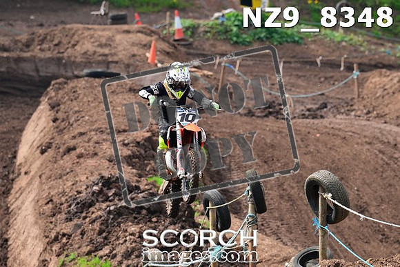 NZ9_8348