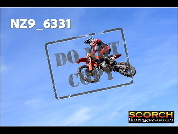 Experts-176