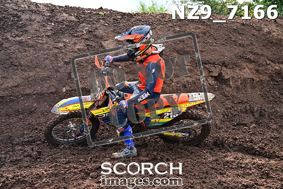 NZ9_7166