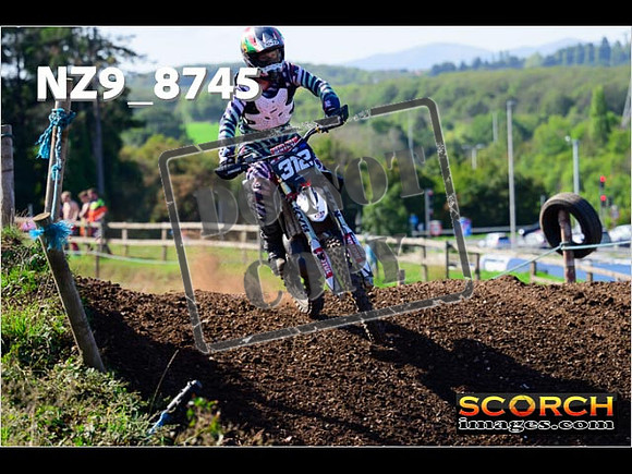 Experts-246