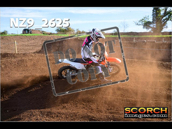Experts-077