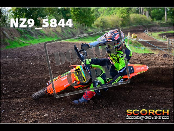 Experts-073