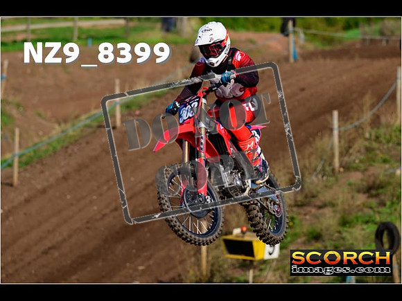 Experts-161