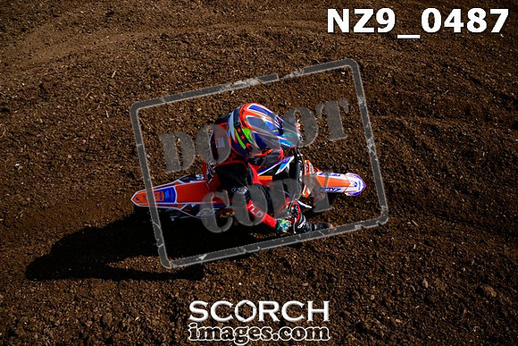 NZ9_0487