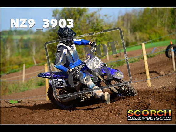 Experts-049