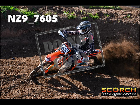 Experts-039