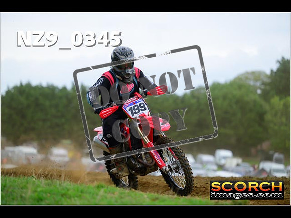 Experts-296