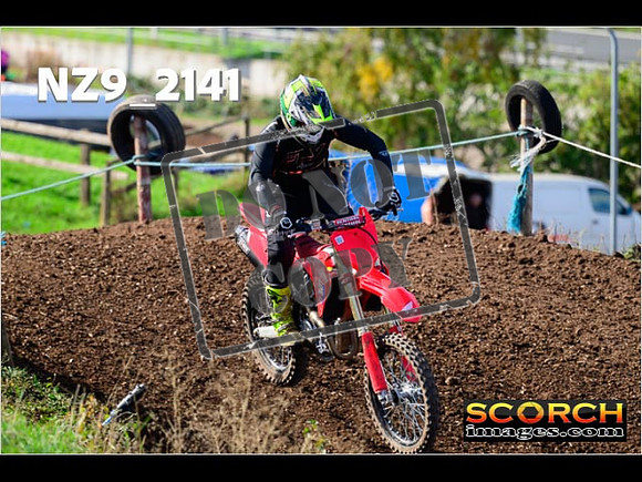 Experts-272
