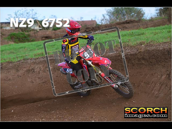 Experts-251