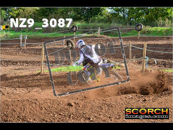 Experts-274
